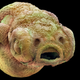 Image for article titled Photos of the Amazing and Gruesome World Under a Microscope
